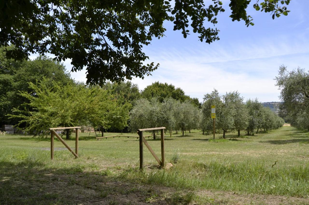 Gasthaus Agriturismo Forestale Luti Treia Exterior foto